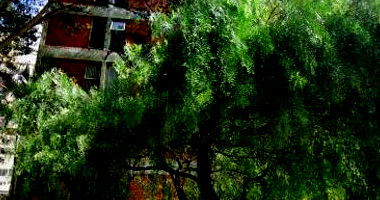 Apartamento com 2 vagas em Tatuapé, São Paulo