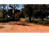 Área Rural com 293,18 hectares, ocupada, ideal para investimento