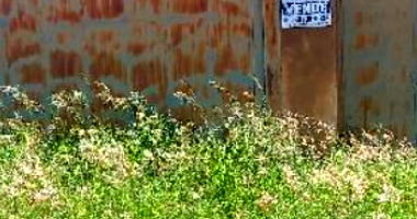 Terreno em Barretos com Lote 19, QD 42