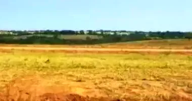 Terreno desocupado com 365m² em Jardim Botânico I, ideal para construção