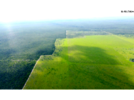 Fazenda com 232,40 hectares em Brasnorte/MT