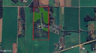 Lote Rural 13,10 ha com mata nativa e área agrícola