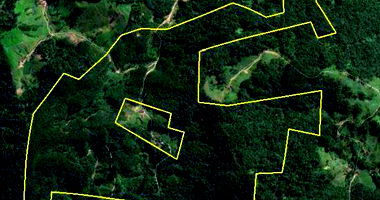 Ampla Área Rural com Reflorestamento em Pomerode/SC