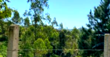 Terreno amplo de 1.071m², ideal para investimento ou criação animal