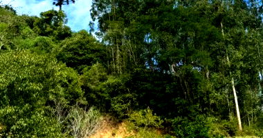 Lote Rural com 58.200m² em Itapuca/RS