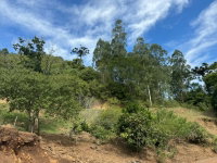 Lote Rural com 58.200m² em Itapuca/RS