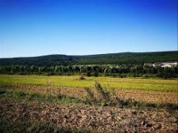 Terreno Rural com 383.138,11m² em Canoinhas - SC
