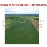 Área Rural de 100 Ha em Nova Roma - GO