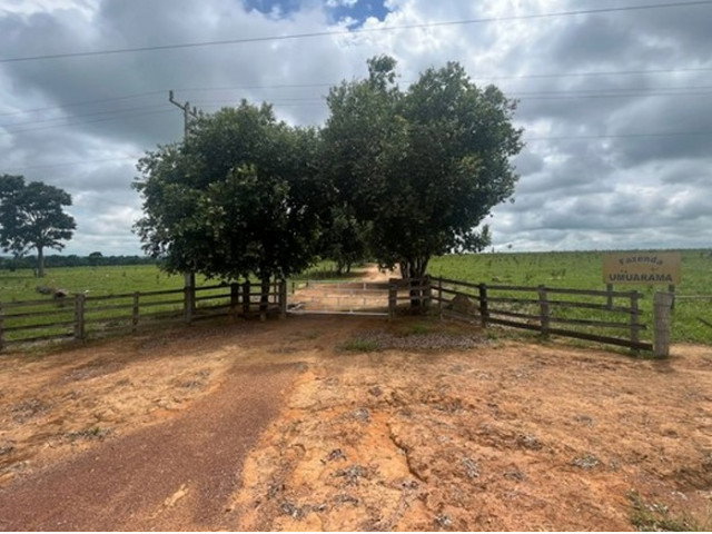 Fazenda com 344,95 hectares e edícula de 80m²
