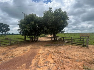 Fazenda com 344,95 hectares e edícula de 80m²