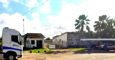 Fazenda Açucareira com Área de Pastagem - 2.502.238m²