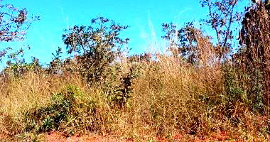Terreno com Direitos Possessórios em Brasília