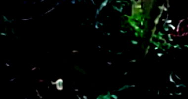 Terreno 433,97 m² em Caraguatatuba/SP