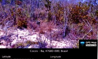 Fazenda Boa Esperança - 100 Hectares em Cocos/BA