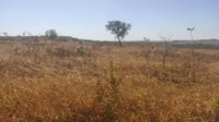08 Terrenos em Luziânia -
