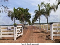 Fazenda com 23,1405 ha em Catalão/GO