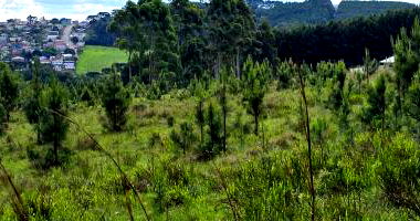 Terreno Rural 41.200m² em Chapada