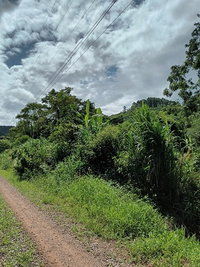 Área de Terras Rurais em Caxias do Sul com 161.951m²
