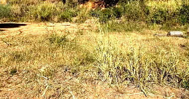 Terreno em Santa Rita de Minas com 6,61ha