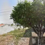 Lote em Quixelô - 220.000,00