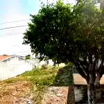 Lote em Quixelô - 220.000,00