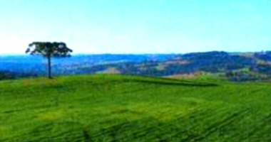 Terreno Rural em Guarapuava com 120.000m²