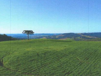 Terreno Rural em Guarapuava com 120.000m²