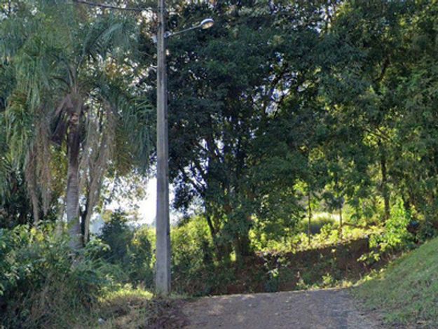 Terreno com Mata Nativa em Francisco Beltrão - PR