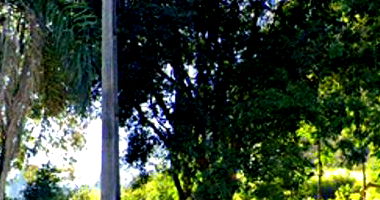 Terreno com Mata Nativa em Francisco Beltrão - PR