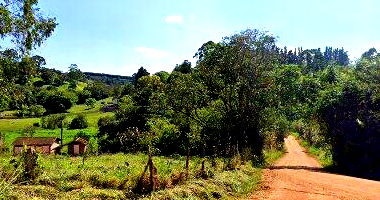 Chácara com 2 quartos, área rural de 2,86 hectares, desocupada