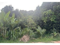 Terreno Amplo em Cabo de Santo Agostinho/PE -