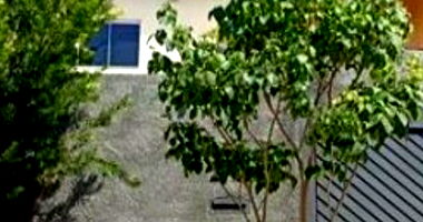 Casa Ocupada no Conjunto Habitacional Mary Dota com 196m²