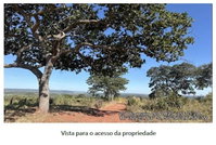 Fazenda Córrego Fundo Denominada Floresta - Ivolândia/GO