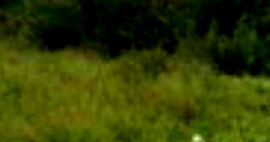 Terreno com 211,51m² no Loteamento Vivari, ocupado