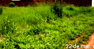 Terreno Urbano com 240m² em Rolim de Moura/RO