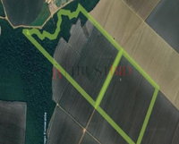 Fazenda Barreiro Groslândia - 242ha em Tapurah/MT