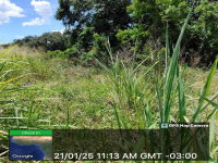 Lote em Capivari - SP