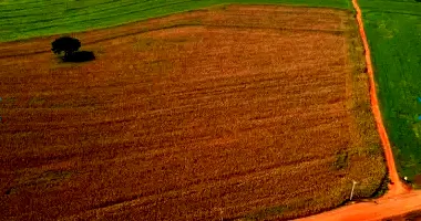 Lote Rural com 6,05 ha em Maringá-PR