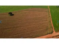 Lote Rural com 6,05 ha em Maringá-PR