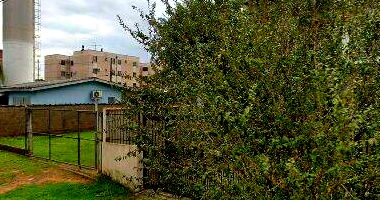Apto 33 Bloco F - Residencial Campo Grande A com 52.82 m²