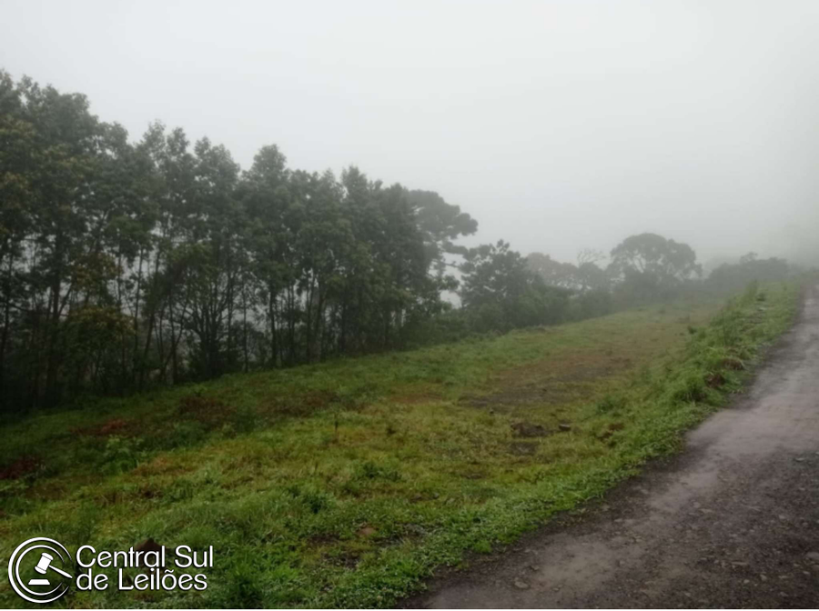 Terreno amplo de 40.000m² em Santa Terezinha, Urubici, SC