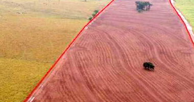 Lote de terras rural com 24,20ha em São João do Caiuá/PR