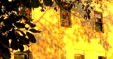 Propriedade Rural em Cachoeira do Carmo com Casa e Terreno
