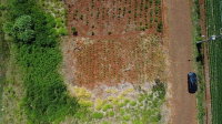 Terreno Urbano 240m² em São Jorge do Oeste/PR - Oportunidade de Investimento