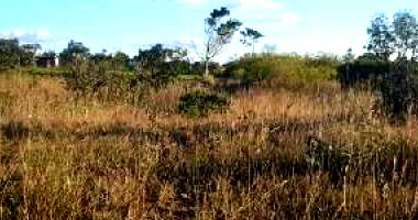 Terreno em Cidade Ocidental/GO com 1087,5m²