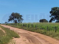 Gleba Rural com 251,47 ha em Araguaçu/TO