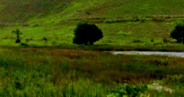 Fazenda Engenho Rico com 347,5ha, área rural ampla