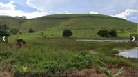 Fazenda Engenho Rico com 347,5ha, área rural ampla