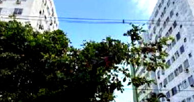 Apartamento em Rio de Janeiro com 2 quartos