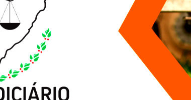 Pulverizador Autopropelido Jacto Unimport 2030 em Perfeito Estado